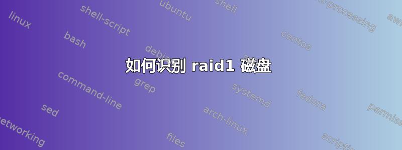 如何识别 raid1 磁盘