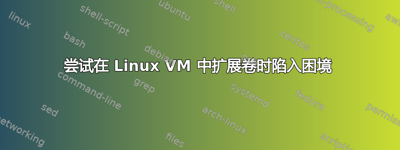 尝试在 Linux VM 中扩展卷时陷入困境