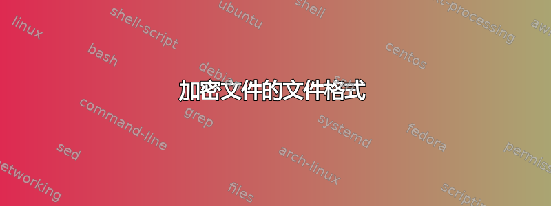 加密文件的文件格式