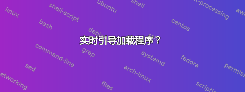 实时引导加载程序？