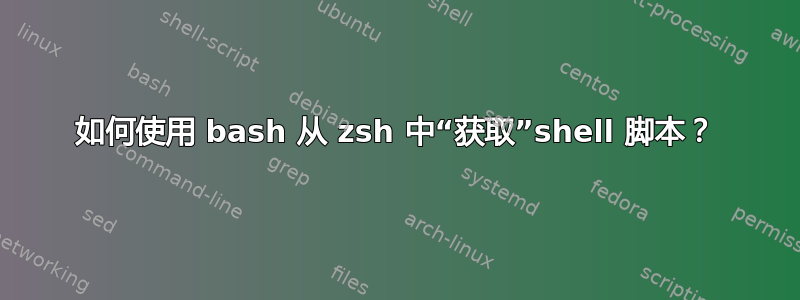 如何使用 bash 从 zsh 中“获取”shell 脚本？