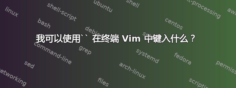 我可以使用`` 在终端 Vim 中键入什么？