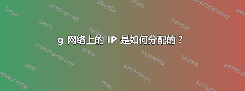 3g 网络上的 IP 是如何分配的？