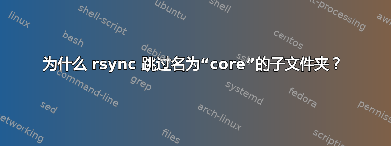 为什么 rsync 跳过名为“core”的子文件夹？