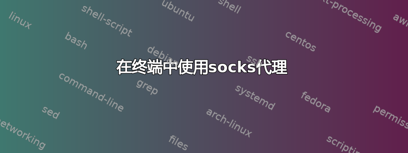 在终端中使用socks代理