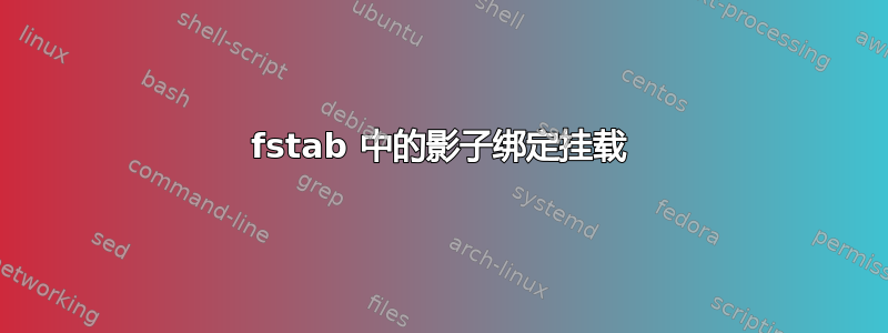 fstab 中的影子绑定挂载