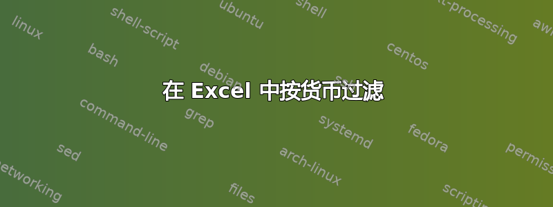 在 Excel 中按货币过滤