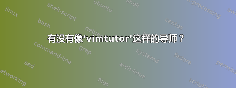 有没有像‘vimtutor’这样的导师？