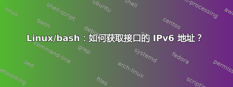 Linux/bash：如何获取接口的 IPv6 地址？