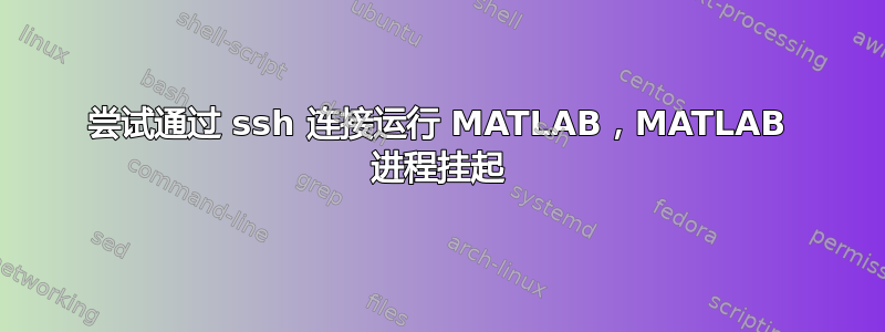 尝试通过 ssh 连接运行 MATLAB，MATLAB 进程挂起