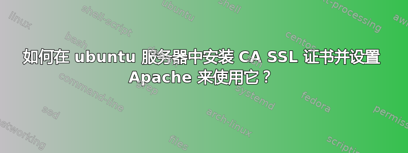 如何在 ubuntu 服务器中安装 CA SSL 证书并设置 Apache 来使用它？