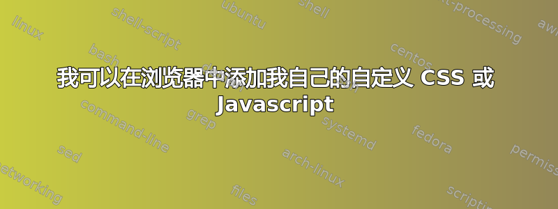 我可以在浏览器中添加我自己的自定义 CSS 或 Javascript