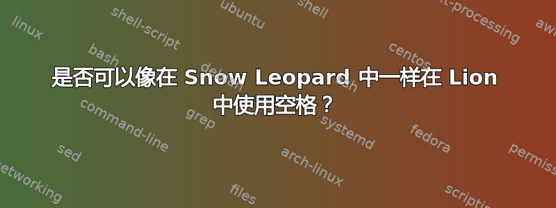 是否可以像在 Snow Leopard 中一样在 Lion 中使用空格？