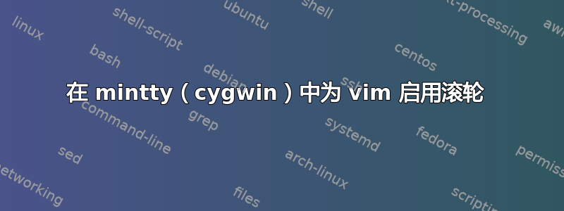 在 mintty（cygwin）中为 vim 启用滚轮 