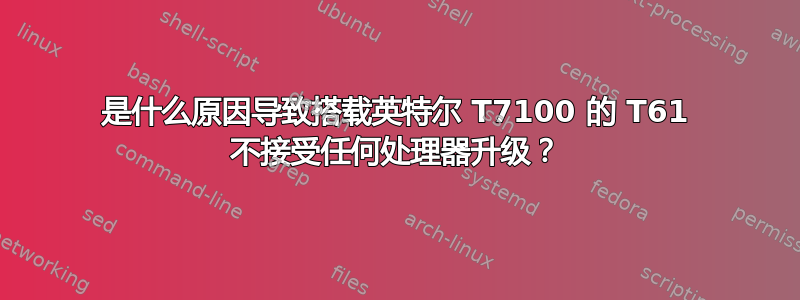 是什么原因导致搭载英特尔 T7100 的 T61 不接受任何处理器升级？