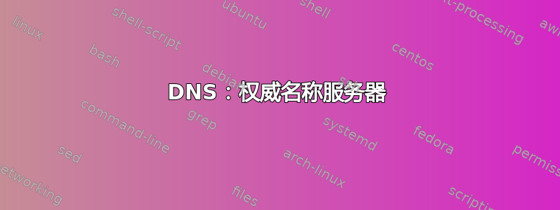 DNS：权威名称服务器