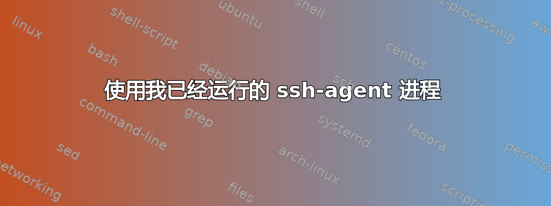 使用我已经运行的 ssh-agent 进程