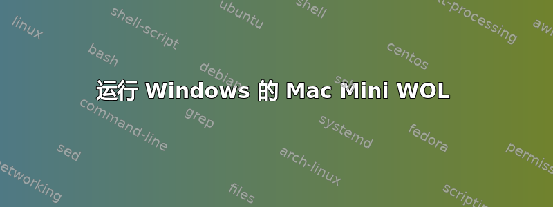 运行 Windows 的 Mac Mini WOL