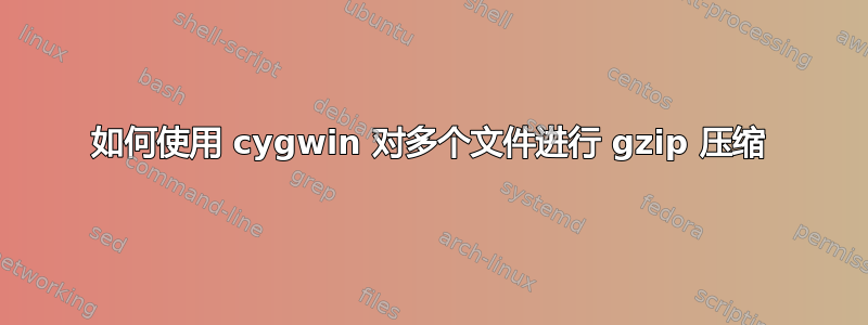 如何使用 cygwin 对多个文件进行 gzip 压缩