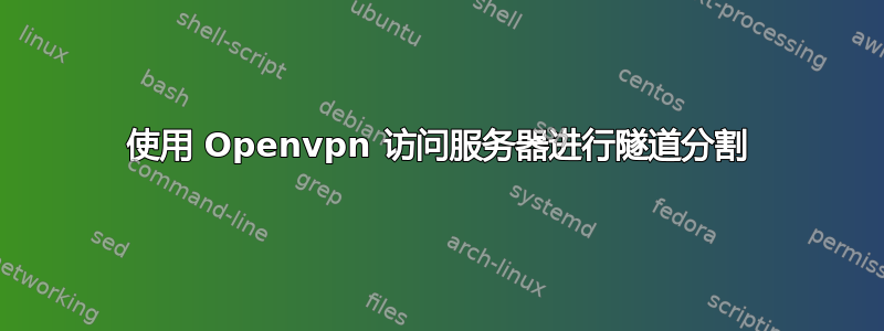 使用 Openvpn 访问服务器进行隧道分割