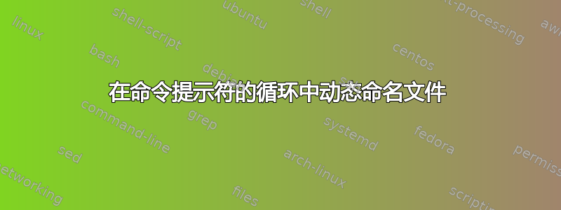 在命令提示符的循环中动态命名文件