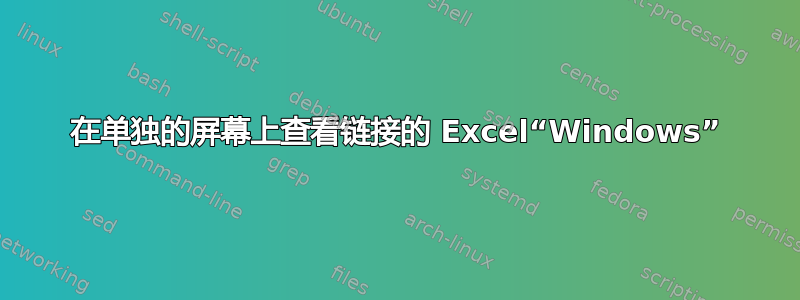 在单独的屏幕上查看链接的 Excel“Windows”