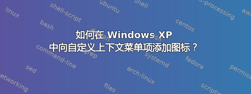 如何在 Windows XP 中向自定义上下文菜单项添加图标？