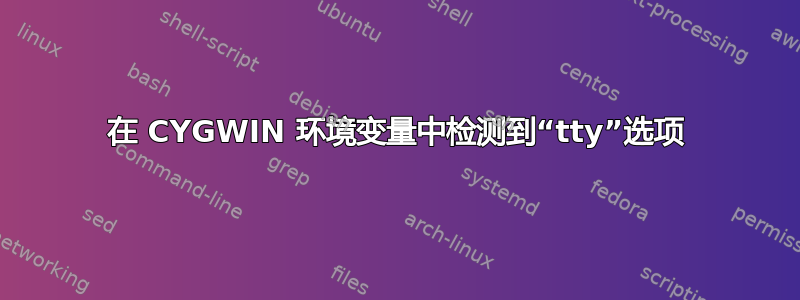 在 CYGWIN 环境变量中检测到“tty”选项