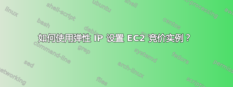 如何使用弹性 IP 设置 EC2 竞价实例？