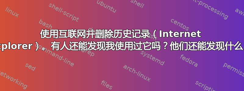 使用互联网并删除历史记录（Internet Explorer）。有人还能发现我使用过它吗？他们还能发现什么？