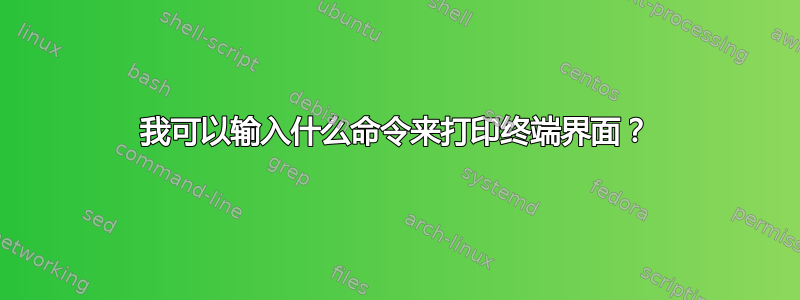 我可以输入什么命令来打印终端界面？