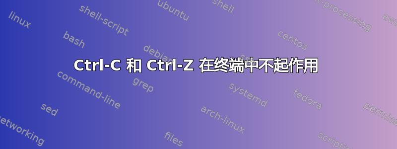 Ctrl-C 和 Ctrl-Z 在终端中不起作用