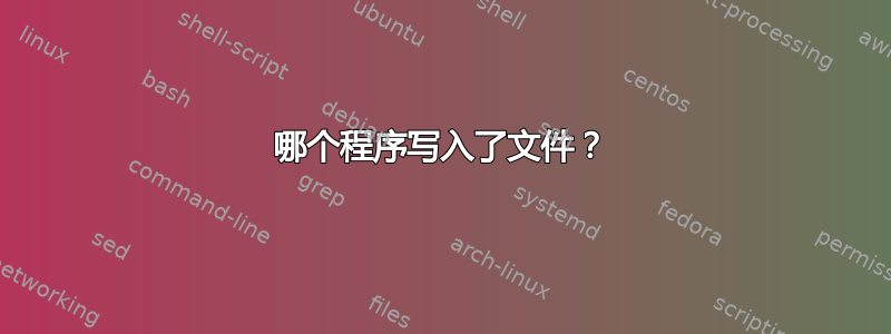 哪个程序写入了文件？