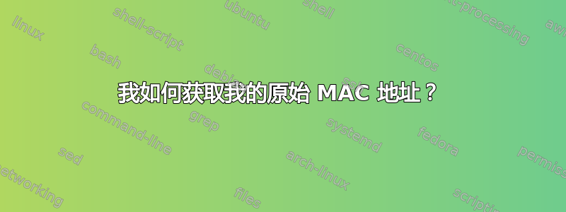 我如何获取我的原始 MAC 地址？