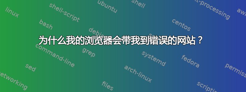 为什么我的浏览器会带我到错误的网站？