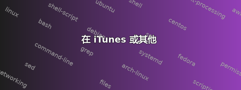 在 iTunes 或其他