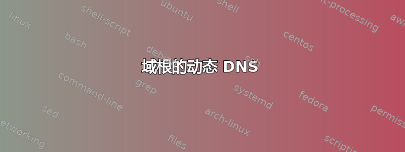 域根的动态 DNS