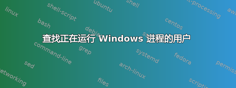 查找正在运行 Windows 进程的用户