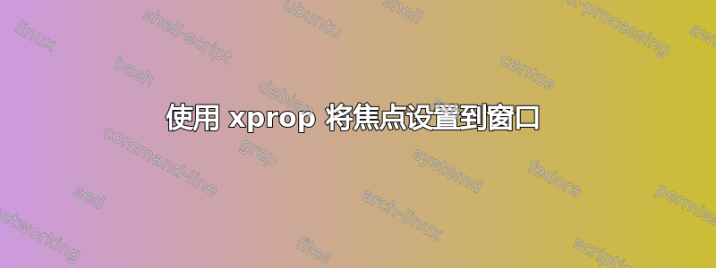 使用 xprop 将焦点设置到窗口