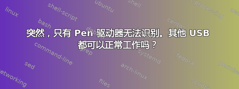 突然，只有 Pen 驱动器无法识别。其他 USB 都可以正常工作吗？