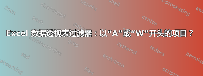 Excel 数据透视表过滤器：以“A”或“W”开头的项目？