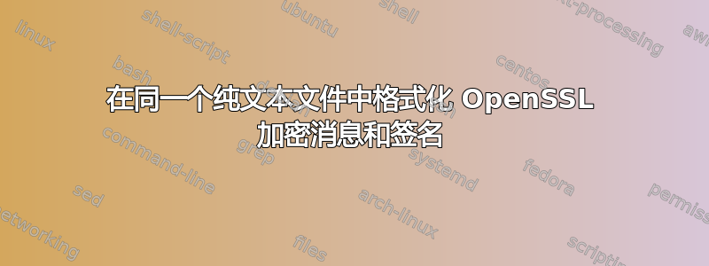 在同一个纯文本文件中格式化 OpenSSL 加密消息和签名