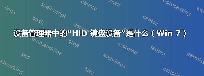 设备管理器中的“HID 键盘设备”是什么（Win 7）