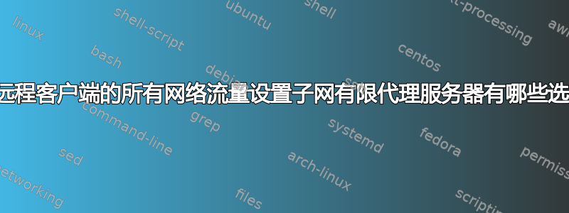 为到远程客户端的所有网络流量设置子网有限代理服务器有哪些选项？