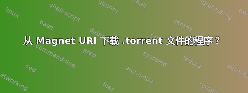 从 Magnet URI 下载 .torrent 文件的程序？