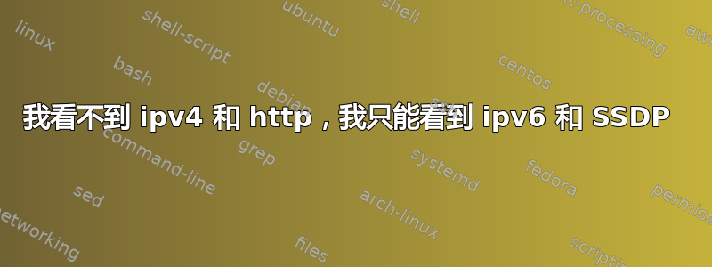 我看不到 ipv4 和 http，我只能看到 ipv6 和 SSDP 