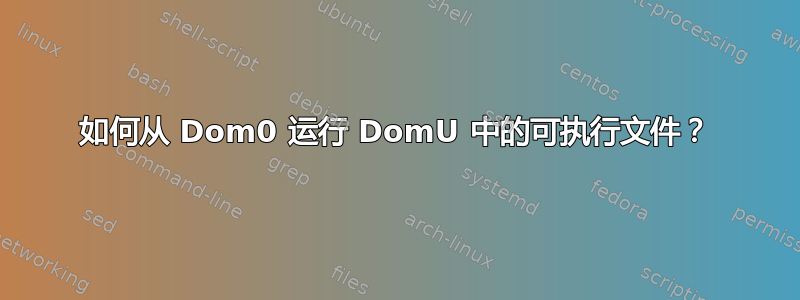 如何从 Dom0 运行 DomU 中的可执行文件？