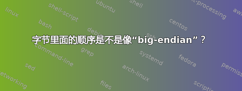 字节里面的顺序是不是像“big-endian”？