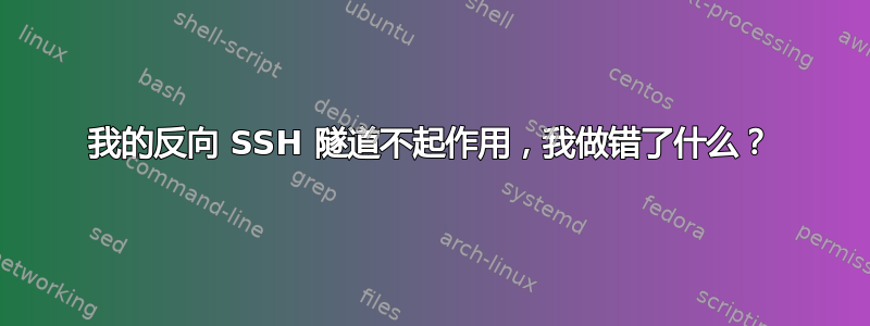 我的反向 SSH 隧道不起作用，我做错了什么？