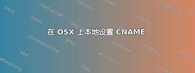 在 OSX 上本地设置 CNAME